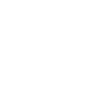 Icon: Pérdida de equipaje